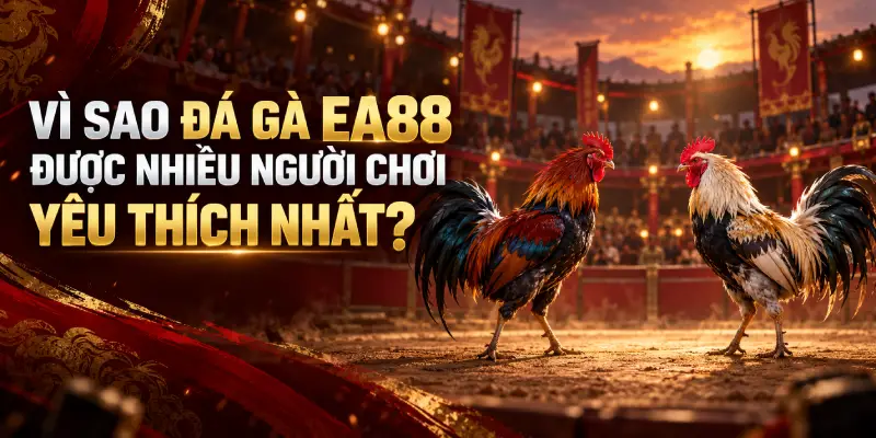 Đá gà ea88 là sân chơi hiện đang nhận về nhiều sự quan tâm bởi sự đa dạng về các giống chiến kê, hình thức thi đấu và cách thức tổ chức.